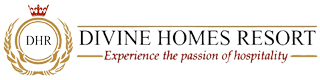 Divine Homes Logo